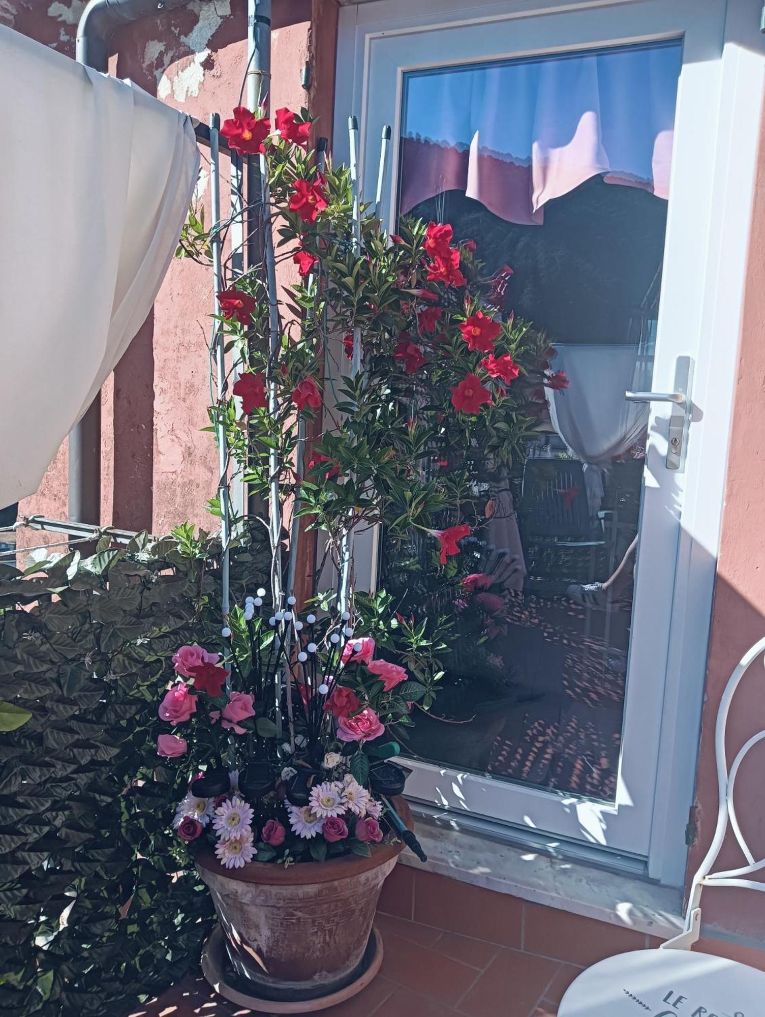 Appartement La Terrazza Di Ameglia Alta Extérieur photo